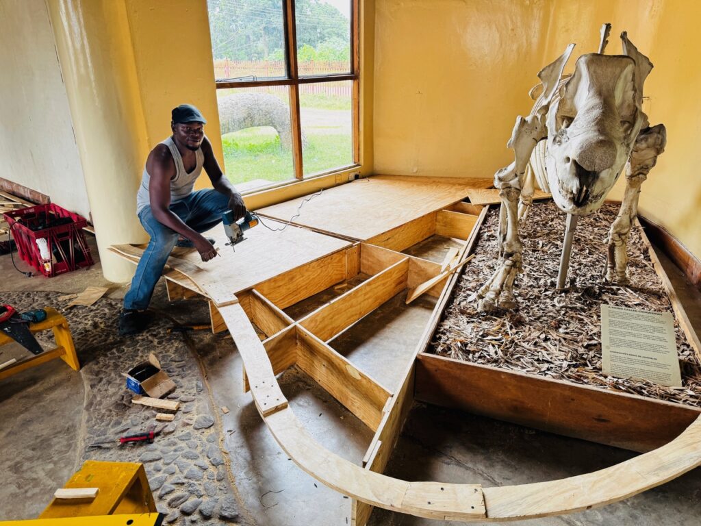 Neue Dauerausstellung โAfrican Savannaโ entsteht